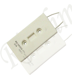 Ceramic Case Wire-Wound Resistor BKG